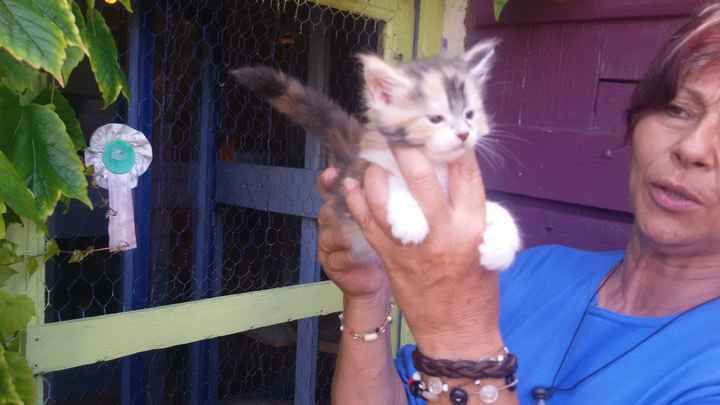 J-4 avant l'evjf... premiers indices - 1