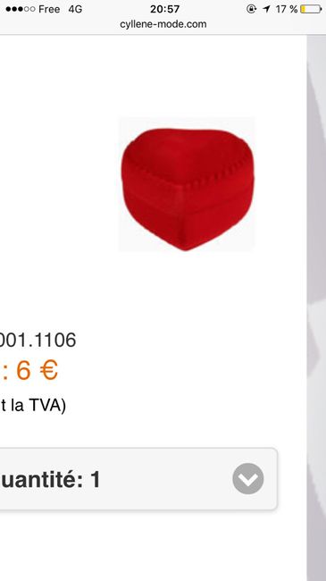 Porte alliance diy - 2