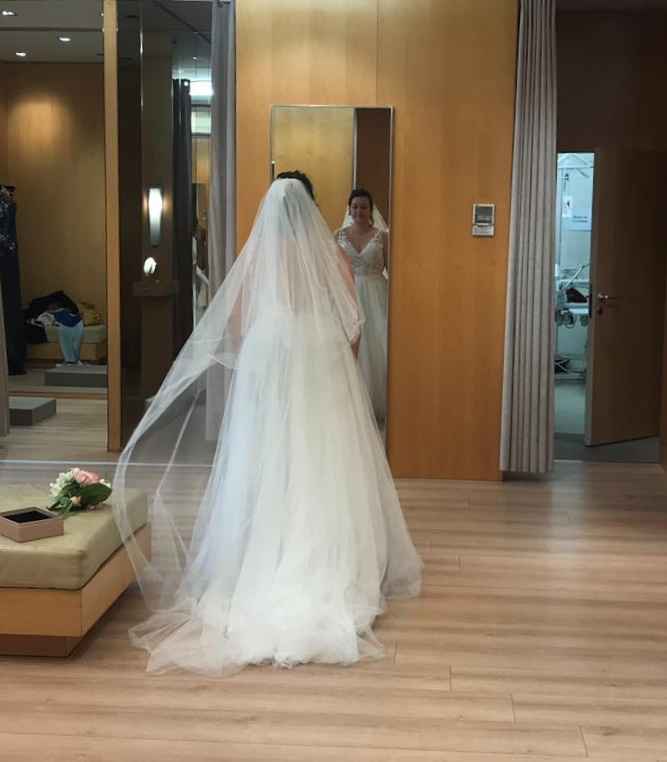 Petit voile 🆚 grand voile ? - 1