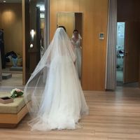 Petit voile 🆚 grand voile ? - 1