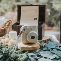 Diamètre rondin de bois - 1