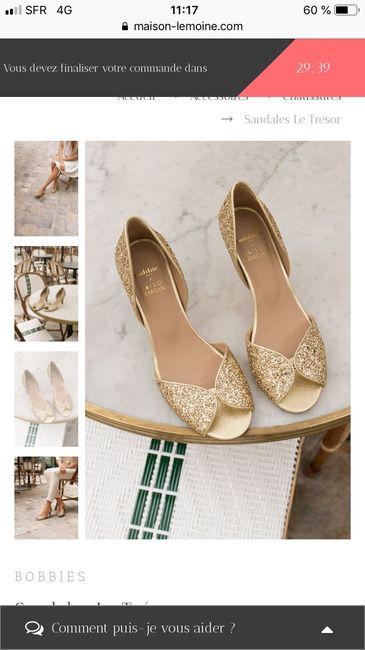 Recherche Bobbies Holly pluie doré 39 - 1