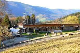 Vue d'ensemble