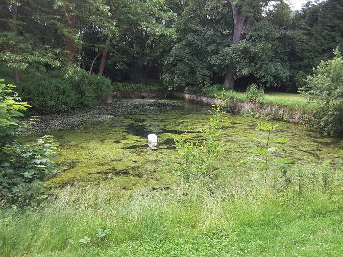 Lieu de reception - 7