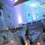 Notre Mariage