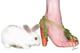 Grande pointure= chaussure moche et hors de prix - 1