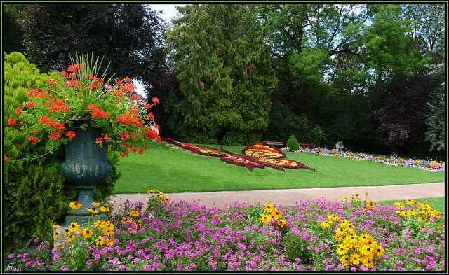 Lieu photo?? cambrai?? - 1