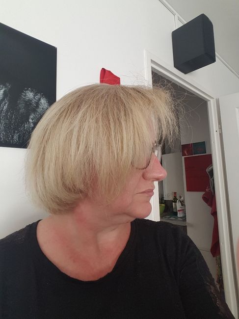 Pousse des cheveux (suite....)