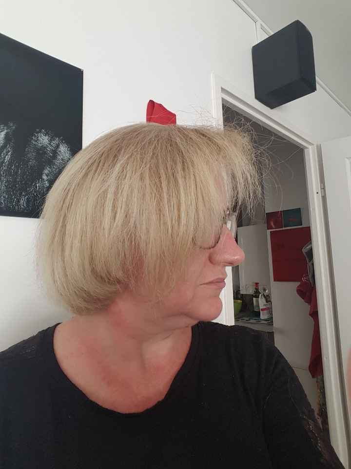 Pousse des cheveux (suite....)