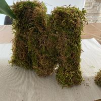 Déco mariage forêt enchantée 😍 - 4