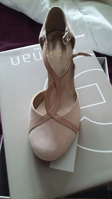 Aide chaussures rose bois/poudrée. - 1