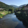 Laeti