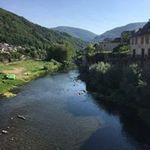 Laeti