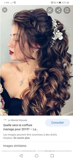 Longueur cheveux & chignon - 1