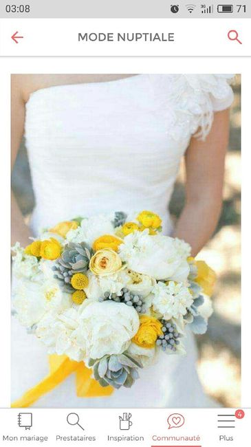 Bouquet de mariée choisis - 1