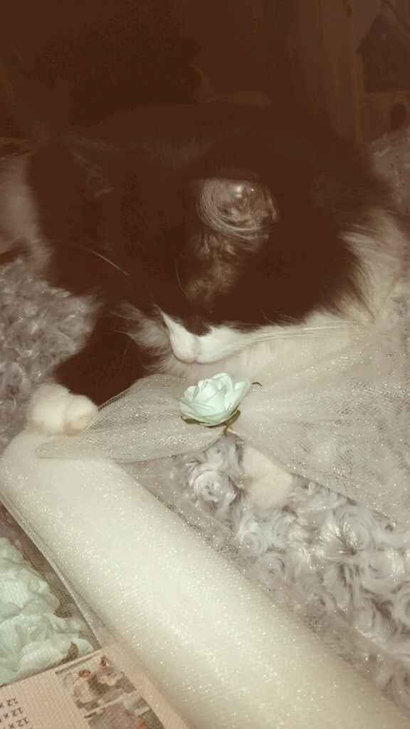 Chez nous, tout le monde participe ! - 1