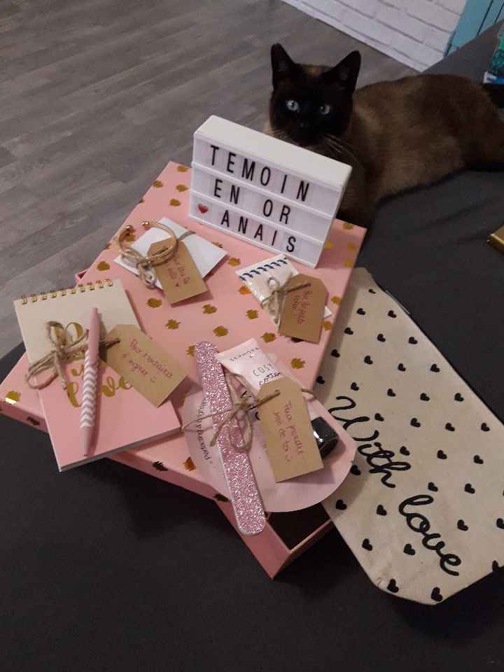 Kit témoin en préparation - 1