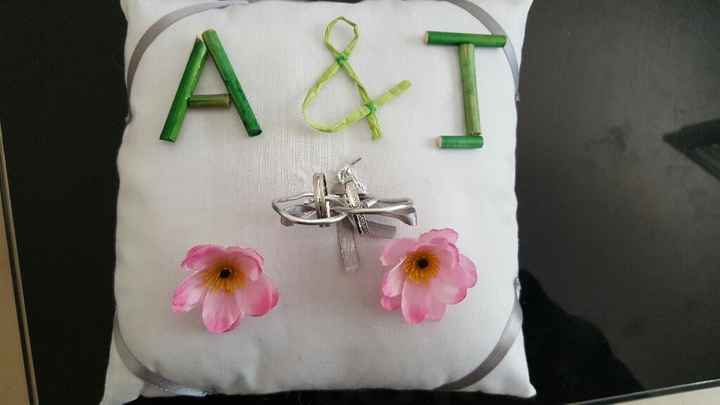 Mon coussin d'alliances - 1