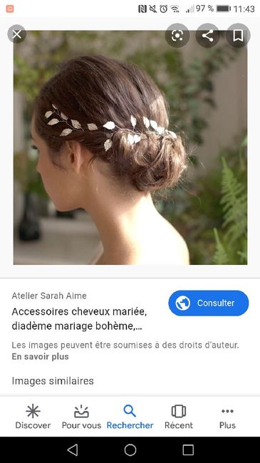 Quoi mettre dans les cheveux? 4