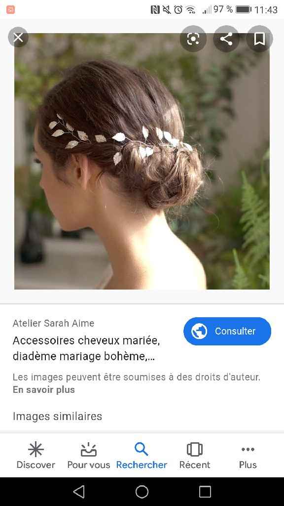 Quoi mettre dans les cheveux? - 1