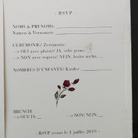 Cotton bird - déception ! - 1