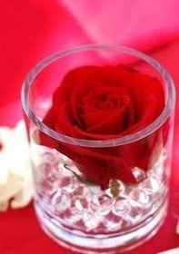 Verrine 