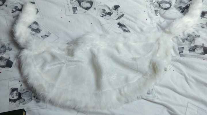 Bolero cape ivoire - 1