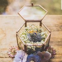 Vos Porte-alliances - 1