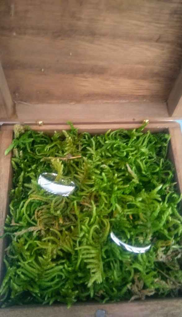 Inspi . Alliances - 1