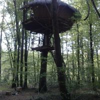 Demande en mariage... - 1