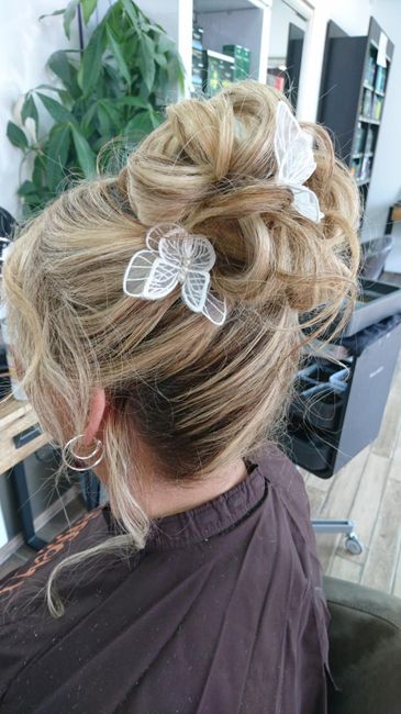 Pinces papillon chignon haut 