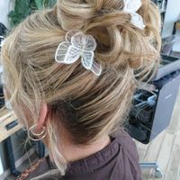 Pinces papillon chignon haut 