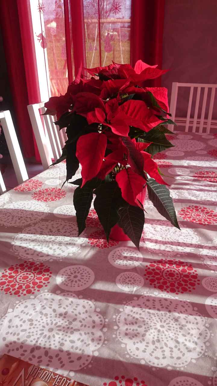 Déco de noël..... 🎄 - 2
