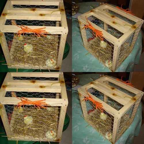 Les urnes originales - 9