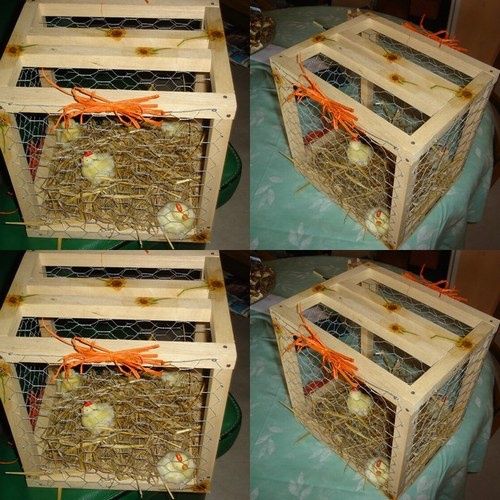 Les urnes originales - 9