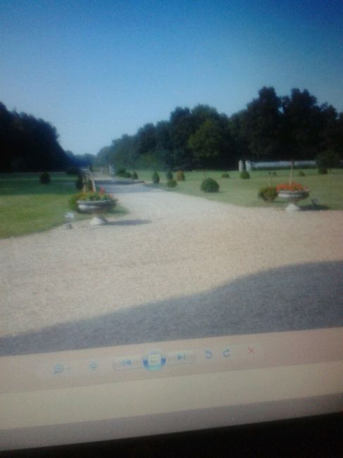 Ou vous mariez vous? - 3