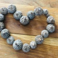 diy Forêt enchantée mystique ✨ - 3