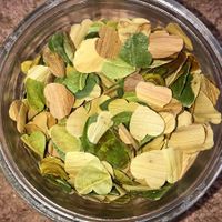 Confettis 100% Biodégradable et Fait-Maison