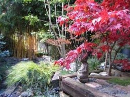 les photos seront prisent dans un jardin zen