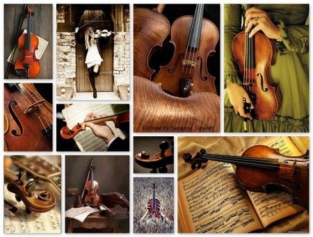 Boeuf sur le toit en soirée avec les musiciens