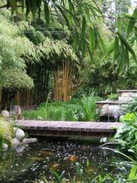mon jardin zen pour nos photos