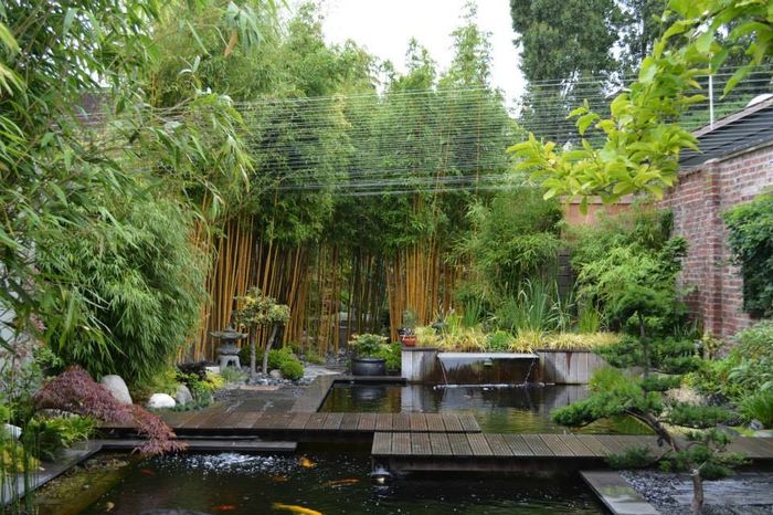 le jardin zen pour les photos
