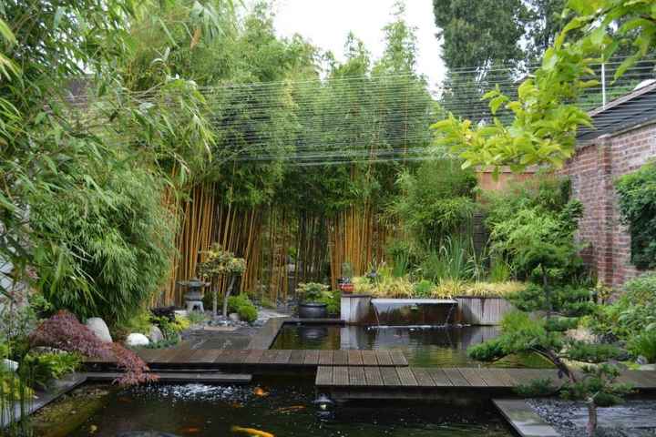 le jardin zen pour les photos