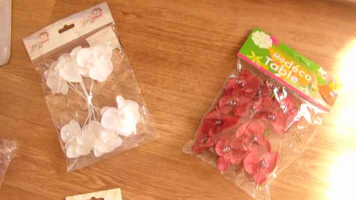 Orchidées pour la déco de table