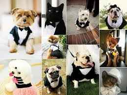 Les témoins (ou pas)