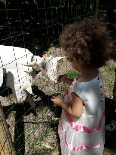 lea animaux pour les enfants au domaine.ma fille et sa robe