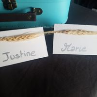 Mon urne, boîtes à dragées et marques places - 2