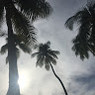 Sandy