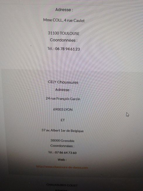 Chaussures mariée 4