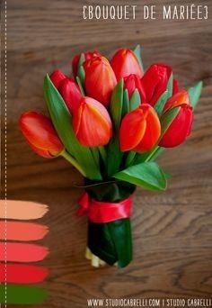 Tulipe Rouge